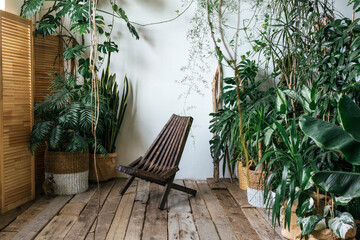 Wooden chair and plants in winter garden
