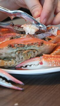 Stone crab cutter with seafood knives, shellfish knives made of aluminum and stainless steel, set Seafood Tools, Lobster, Crab, Cracker, Gadgets, Cooking Tools, Claws, Sheller. Kitchen Accessories