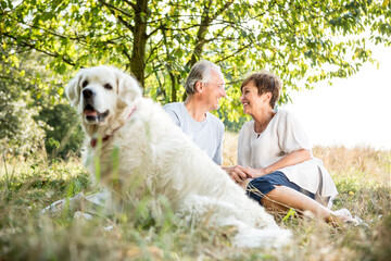 Happy senior couple with dog in meadow