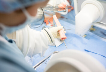Scientist processing human tissue in insulator laboratory