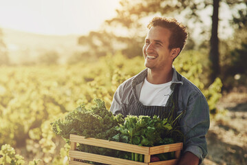 Agriculture, crate and idea with man on farm for agribusiness, growth or sustainability. Flare, harvest and thinking of happy farmer outdoor in field for ecology, fresh produce or grocery market