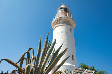Majestic white Paphos Lighthouse with agave plant under blue sky at Archaeological Park, Cyprus