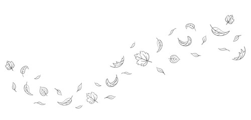 Leaves fall set in doodle style, vector illustration. Wave cold air during windy weather. Maple leaf outline for print and design. Isolated black element on white background. Autumn symbol nature