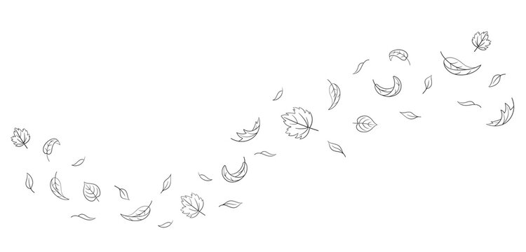Leaves fall set in doodle style, vector illustration. Wave cold air during windy weather. Maple leaf outline for print and design. Isolated black element on white background. Autumn symbol nature