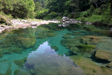 汗見川　汗見グリーン　（高知県　本山町　唐越）