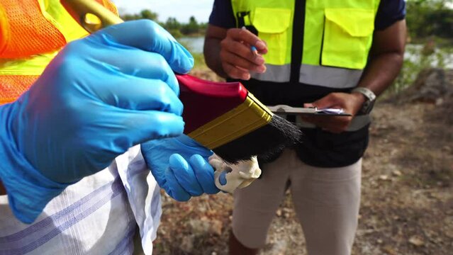 Footage 4K: Team of archaeologists excavating fossil