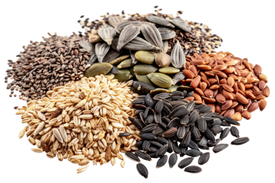 Ingredient seed isolated on transparent background