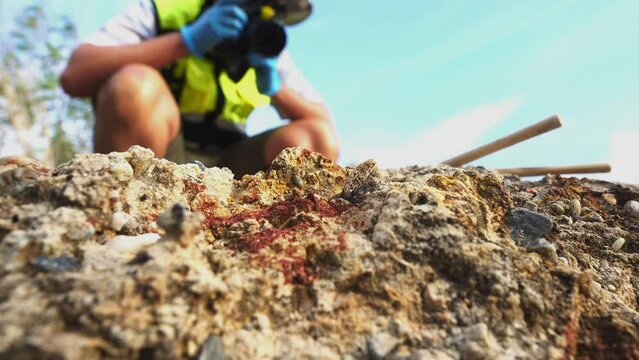 Male archaeologist studying and collecting information on fossils
