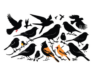 Black silhouette set birds on white background vector image. 