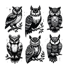 Owl Bird Black silhouette on white background six set vector illustration