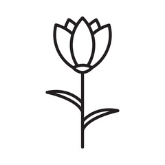 Tulip icon line art vector