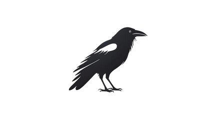 Fototapeta premium crow