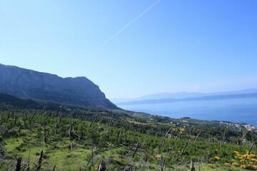the lovely green nature of National park Biokovo near Makarska, Croatia