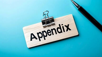 A wooden sign labeled "Appendix" with a binder clip, placed on a blue background next to a black pen.