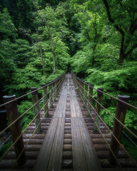 茨城県高萩市　花貫渓谷　新緑の汐見滝吊り橋