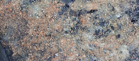 the remains of burnt wood on the ground