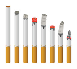 Realistic Cigarette Set Different Stages of Burn, Cigarette burn stages. Tobacco burning process from new cigarette to butt, Smoking products with ash, harmful cigar, isolated on white background.
