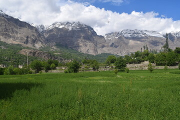 landscape with lake