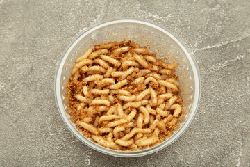 Plastic container, box with live bait for fishing - maggots, on grey background