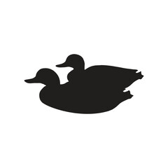 Silhouette of two wild ducks, isolated on a white background.