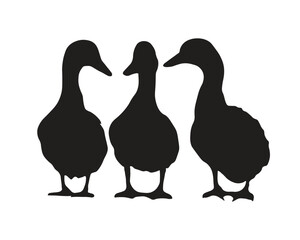 Silhouette of ducks, flock of wild and domestic ducks, on a white background.