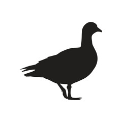 Silhouette of a wild duck isolated on a white background.