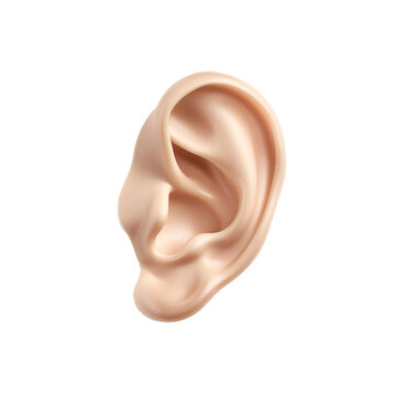 recommend clip art: Close-Up of a Human Ear Isolated on Transparent Background