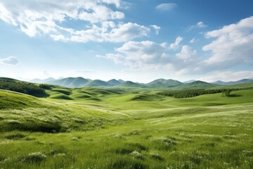 Hills grass landscape grassland.