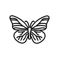 Butterfly Outline Icon, Vector illustration