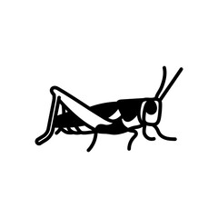 Grasshopper Glyph Icon, Vector illustration