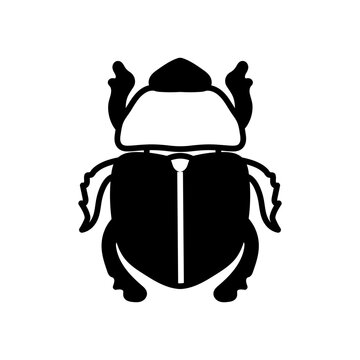 Dung Beetle Glyph Icon, Vector illustration
