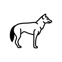 Dingo Glyph Icon, Vector illustration