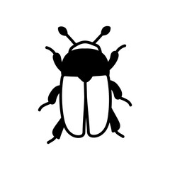 Flea Beetle Glyph Icon, Vector illustration