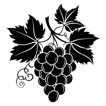 recommend clip art: grape  vector silhouette  illustration svg