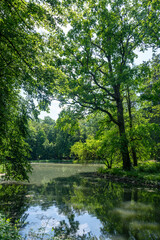 A lake in green nature with trees