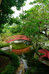 curved red iron bridge in a tropical garden. fish pond. tropical garden with a variety of green plants. This image is suitable for wallpaper and background.
