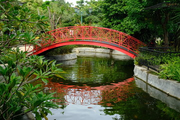 curved red iron bridge in a tropical garden. fish pond. tropical garden with a variety of green plants. This image is suitable for wallpaper and background.