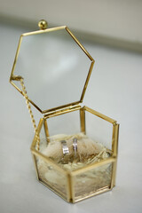 Two white gold wedding rings in a glass box.