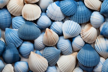 Beautiful and diverse assortment of seashells on a blue and white striped background with a marine life theme for eco-friendly seaside decoration and nautical wallpaper design © juliars