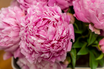 Pink flowers blooming peonies, bouquet.