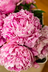 Pink flowers blooming peonies, bouquet.