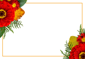 Autumn corner composithions with zinnia, chrysanthemum flowers and seasonal leaves with ginger frame isolated on white or transparent background