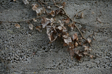 background with old brick wall background Corfu Greece