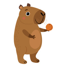 Capybara on a white background