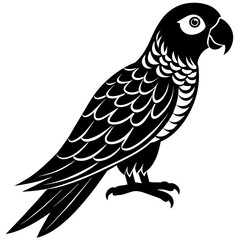 Parrot icon vector silhouette illustration on white background