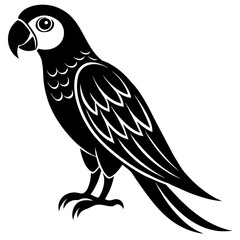 Parrot icon vector silhouette illustration on white background