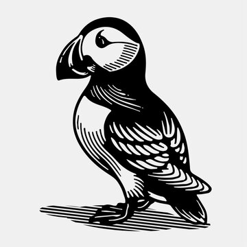recommend clip art: puffin bird line art vector illustration black and white. perfect for lino cut print or wood cut print
