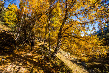 Young hiker woman in autumn in Aiguestortes and Sant Maurici National Park, Spain