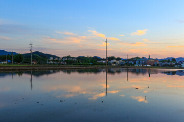 house and village scenery reflected in the rice fields received for rice farming