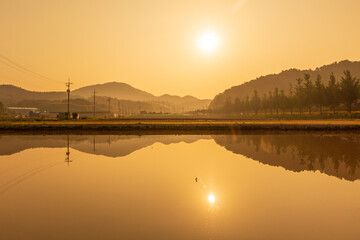 house and village scenery reflected in the rice fields received for rice farming